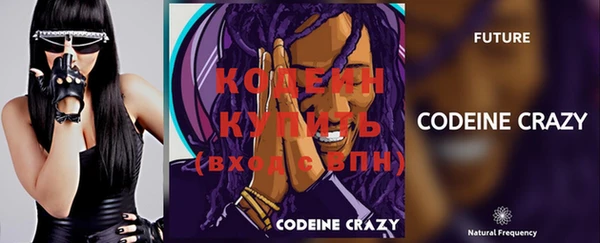 СК Горняк