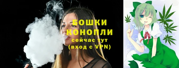 СК Горняк