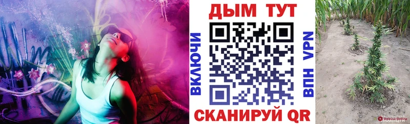 Шишки марихуана AK-47  Купить где  Новозыбков 